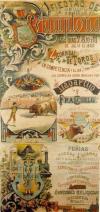 Sanfermines  1883